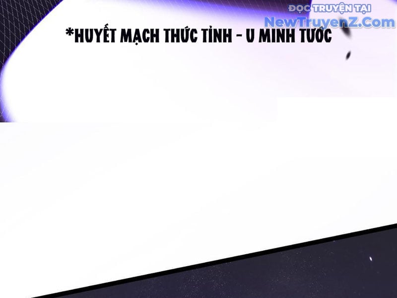 Cao Võ Tiến Hóa: Bắt Đầu Thức Tỉnh Quái Thú Chi Vương Chapter 9 - Trang 2