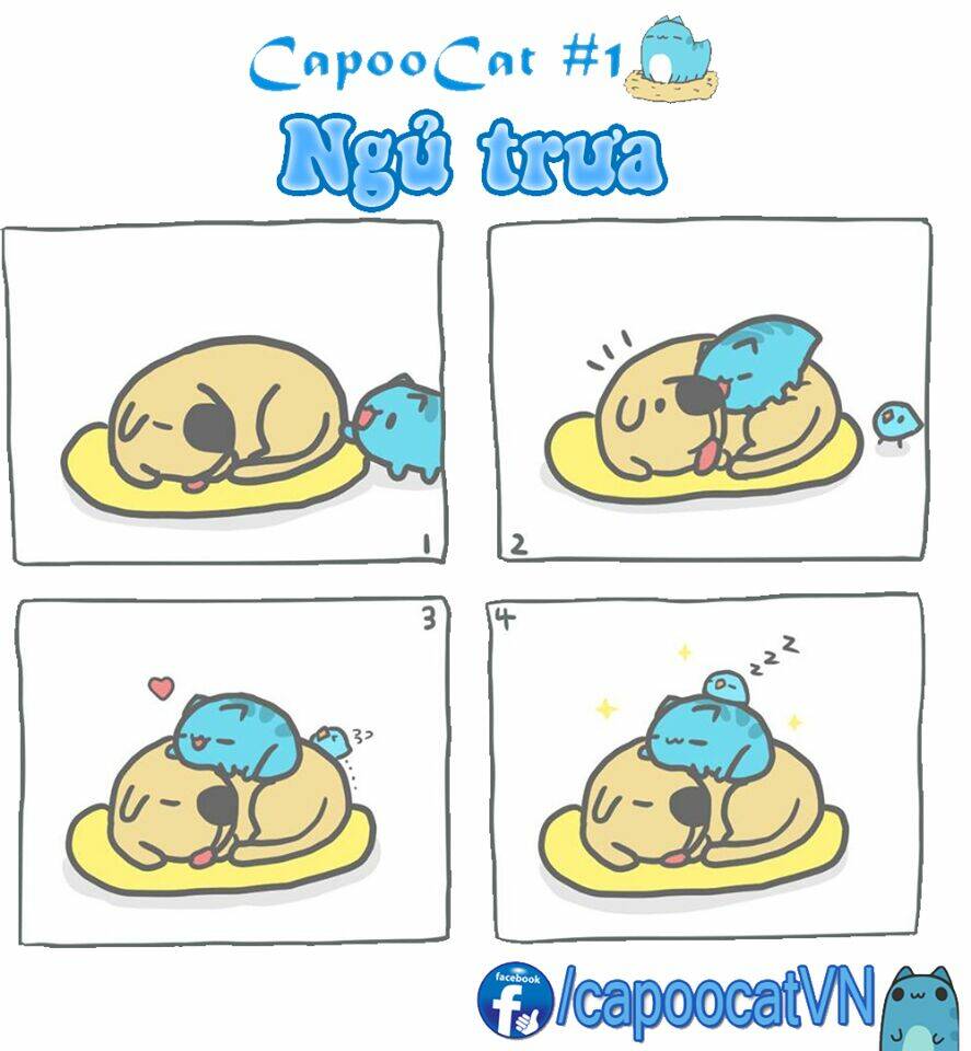Capoo Cat Chapter 1 - Trang 2