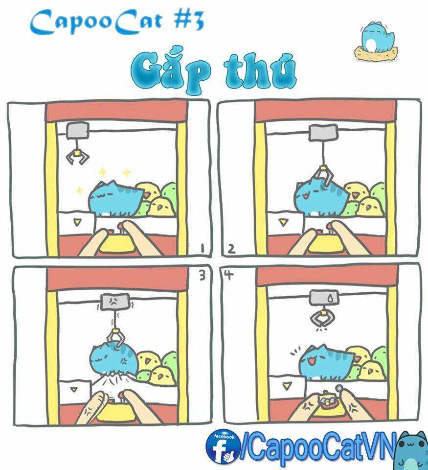 Capoo Cat Chapter 1 - Trang 2