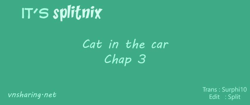 Cat In The Car Chapter 3 - Trang 2