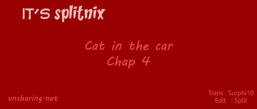 Cat In The Car Chapter 4 - Trang 2