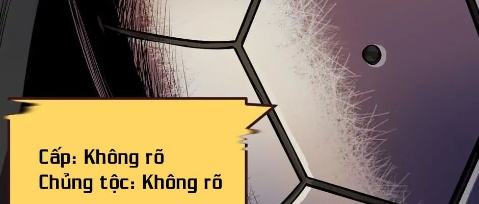 Câu Chuyện Sinh Tồn Của Kiếm Vương Ở Thế Giới Khác Chapter 11 - Trang 2