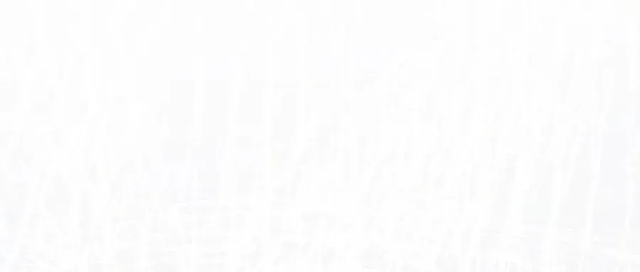 Câu Chuyện Sinh Tồn Của Kiếm Vương Ở Thế Giới Khác Chapter 14 - Trang 2