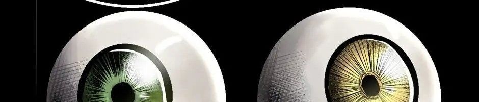 Câu Chuyện Sinh Tồn Của Kiếm Vương Ở Thế Giới Khác Chapter 17 - Trang 2