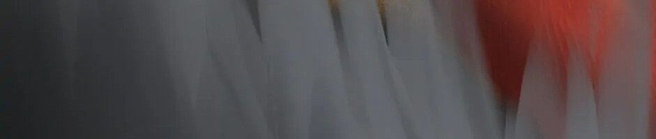 Câu Chuyện Sinh Tồn Của Kiếm Vương Ở Thế Giới Khác Chapter 17 - Trang 2