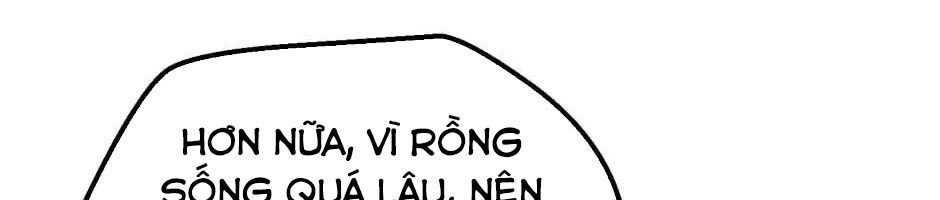 Câu Chuyện Sinh Tồn Của Kiếm Vương Ở Thế Giới Khác Chapter 26 - Trang 2