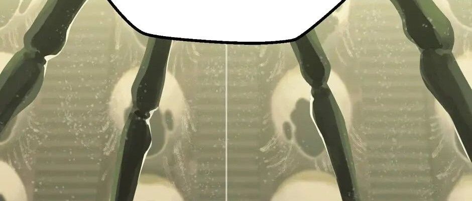 Câu Chuyện Sinh Tồn Của Kiếm Vương Ở Thế Giới Khác Chapter 28 - Trang 2