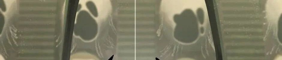 Câu Chuyện Sinh Tồn Của Kiếm Vương Ở Thế Giới Khác Chapter 28 - Trang 2