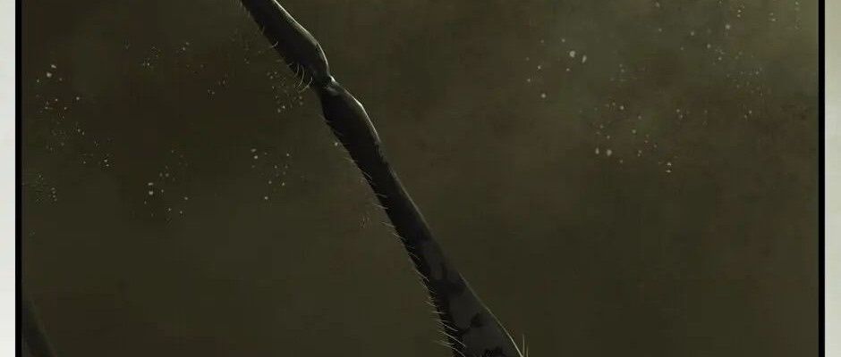 Câu Chuyện Sinh Tồn Của Kiếm Vương Ở Thế Giới Khác Chapter 28 - Trang 2