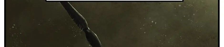 Câu Chuyện Sinh Tồn Của Kiếm Vương Ở Thế Giới Khác Chapter 29 - Trang 2