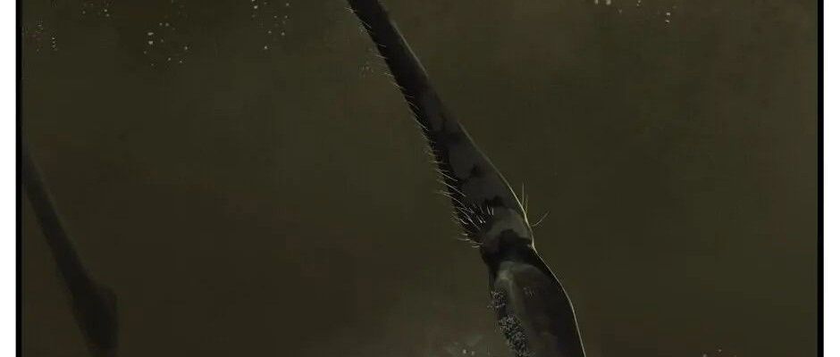 Câu Chuyện Sinh Tồn Của Kiếm Vương Ở Thế Giới Khác Chapter 29 - Trang 2