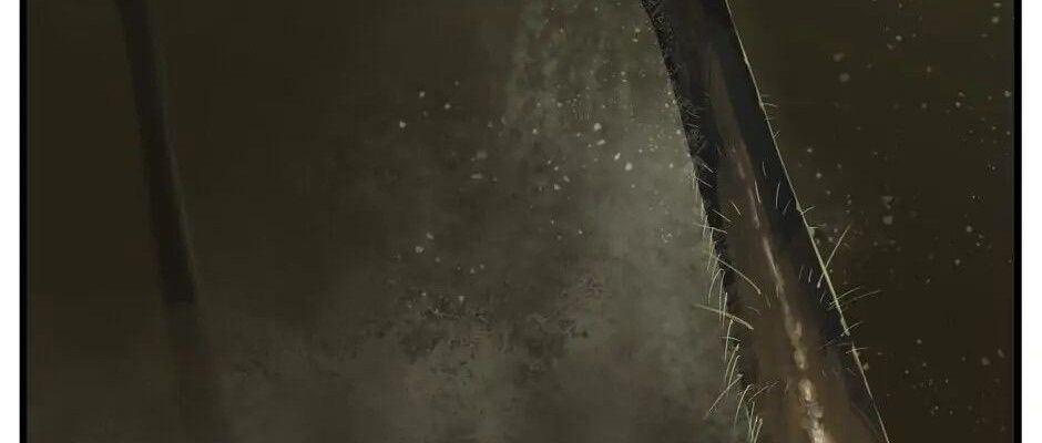 Câu Chuyện Sinh Tồn Của Kiếm Vương Ở Thế Giới Khác Chapter 29 - Trang 2