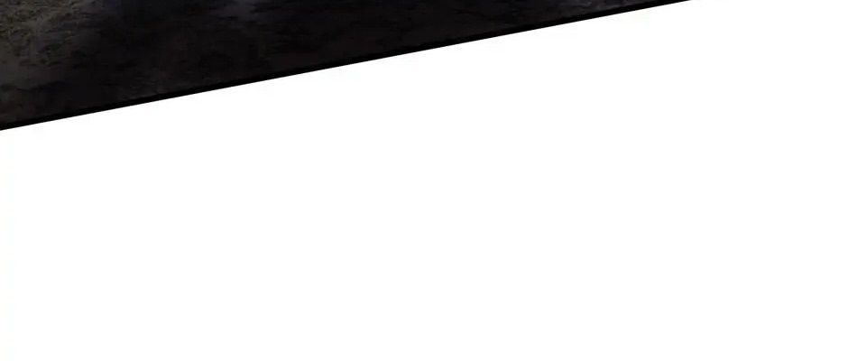 Câu Chuyện Sinh Tồn Của Kiếm Vương Ở Thế Giới Khác Chapter 37 - Trang 2