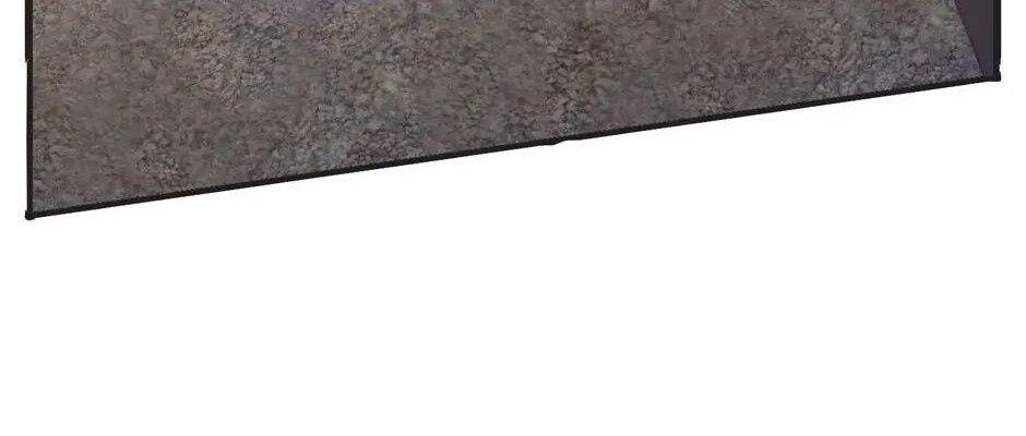 Câu Chuyện Sinh Tồn Của Kiếm Vương Ở Thế Giới Khác Chapter 38 - Trang 2