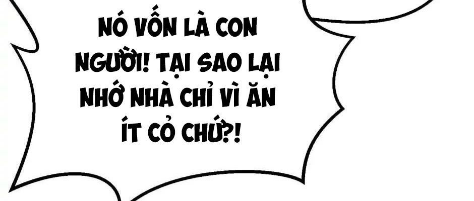 Câu Chuyện Sinh Tồn Của Kiếm Vương Ở Thế Giới Khác Chapter 38 - Trang 2