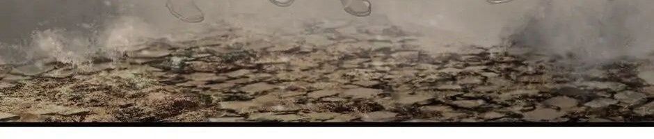 Câu Chuyện Sinh Tồn Của Kiếm Vương Ở Thế Giới Khác Chapter 39 - Trang 2