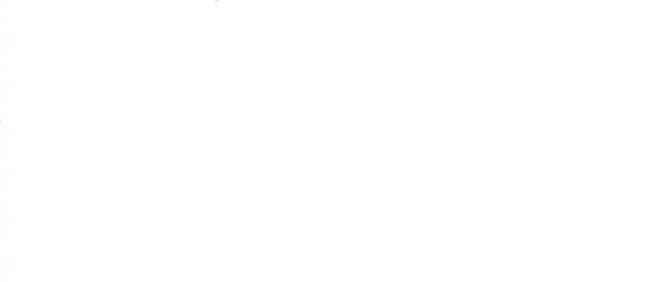 Câu Chuyện Sinh Tồn Của Kiếm Vương Ở Thế Giới Khác Chapter 41 - Trang 2