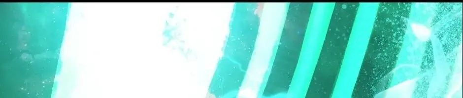 Câu Chuyện Sinh Tồn Của Kiếm Vương Ở Thế Giới Khác Chapter 42 - Trang 2