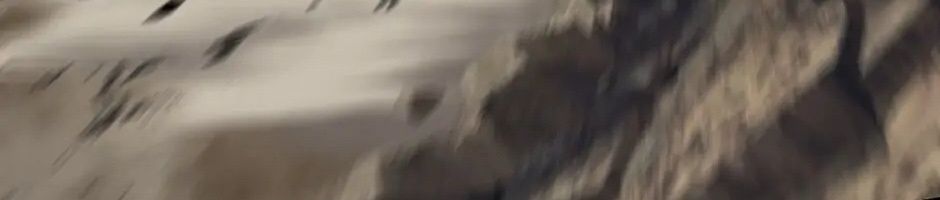 Câu Chuyện Sinh Tồn Của Kiếm Vương Ở Thế Giới Khác Chapter 43 - Trang 2