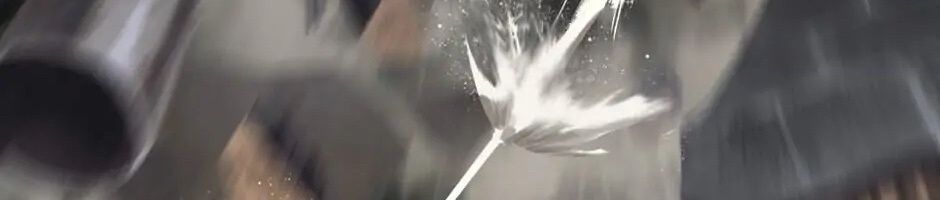 Câu Chuyện Sinh Tồn Của Kiếm Vương Ở Thế Giới Khác Chapter 44 - Trang 2