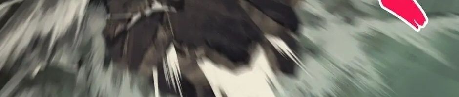 Câu Chuyện Sinh Tồn Của Kiếm Vương Ở Thế Giới Khác Chapter 44 - Trang 2