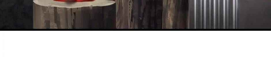 Câu Chuyện Sinh Tồn Của Kiếm Vương Ở Thế Giới Khác Chapter 47 - Trang 2