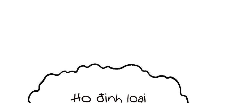 Câu Chuyện Sinh Tồn Của Kiếm Vương Ở Thế Giới Khác Chapter 47 - Trang 2