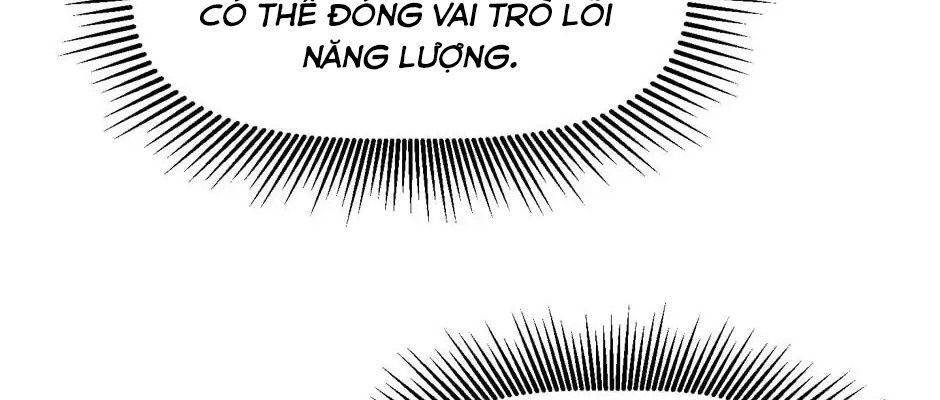 Câu Chuyện Sinh Tồn Của Kiếm Vương Ở Thế Giới Khác Chapter 48 - Trang 2