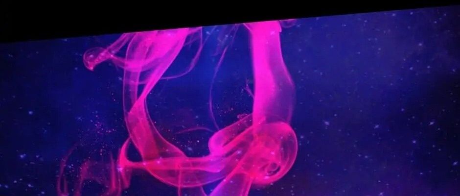 Câu Chuyện Sinh Tồn Của Kiếm Vương Ở Thế Giới Khác Chapter 50 - Trang 2