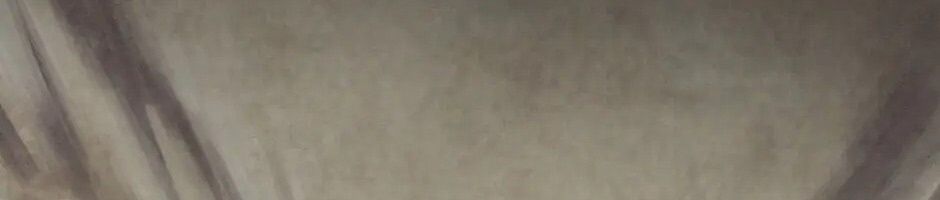 Câu Chuyện Sinh Tồn Của Kiếm Vương Ở Thế Giới Khác Chapter 50 - Trang 2