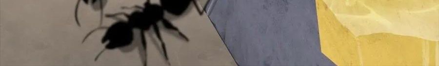 Câu Chuyện Sinh Tồn Của Kiếm Vương Ở Thế Giới Khác Chapter 55 - Trang 2