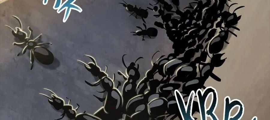 Câu Chuyện Sinh Tồn Của Kiếm Vương Ở Thế Giới Khác Chapter 55 - Trang 2