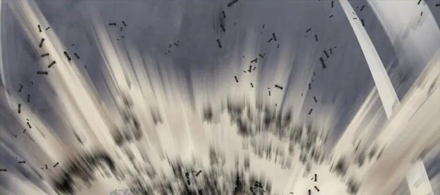 Câu Chuyện Sinh Tồn Của Kiếm Vương Ở Thế Giới Khác Chapter 55 - Trang 2