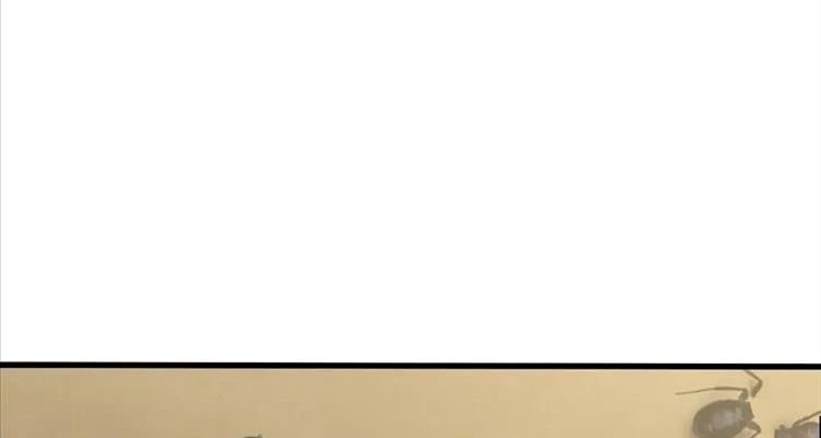 Câu Chuyện Sinh Tồn Của Kiếm Vương Ở Thế Giới Khác Chapter 56 - Trang 2