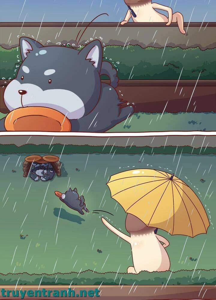 Cây Nấm Kì Khả Chapter 10 - Trang 2