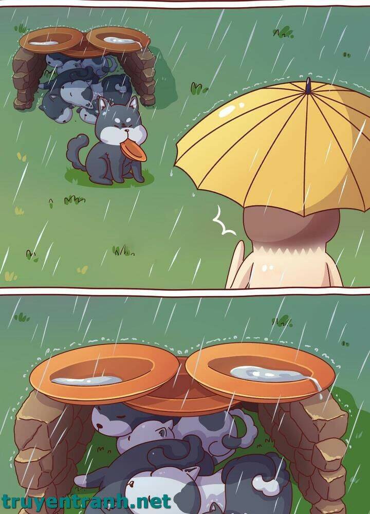 Cây Nấm Kì Khả Chapter 10 - Trang 2