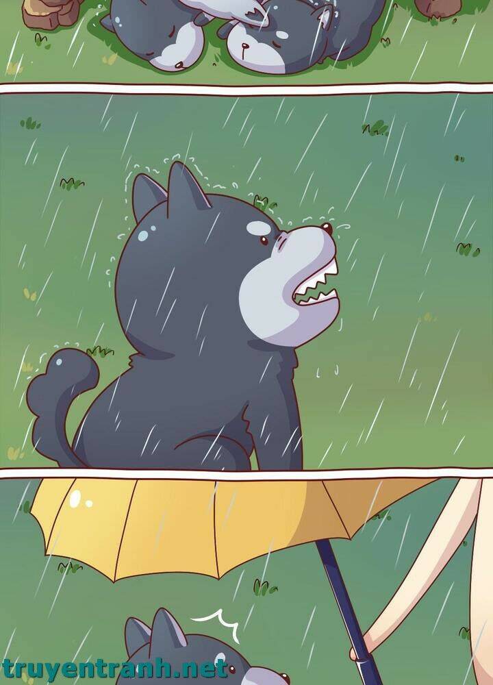 Cây Nấm Kì Khả Chapter 10 - Trang 2