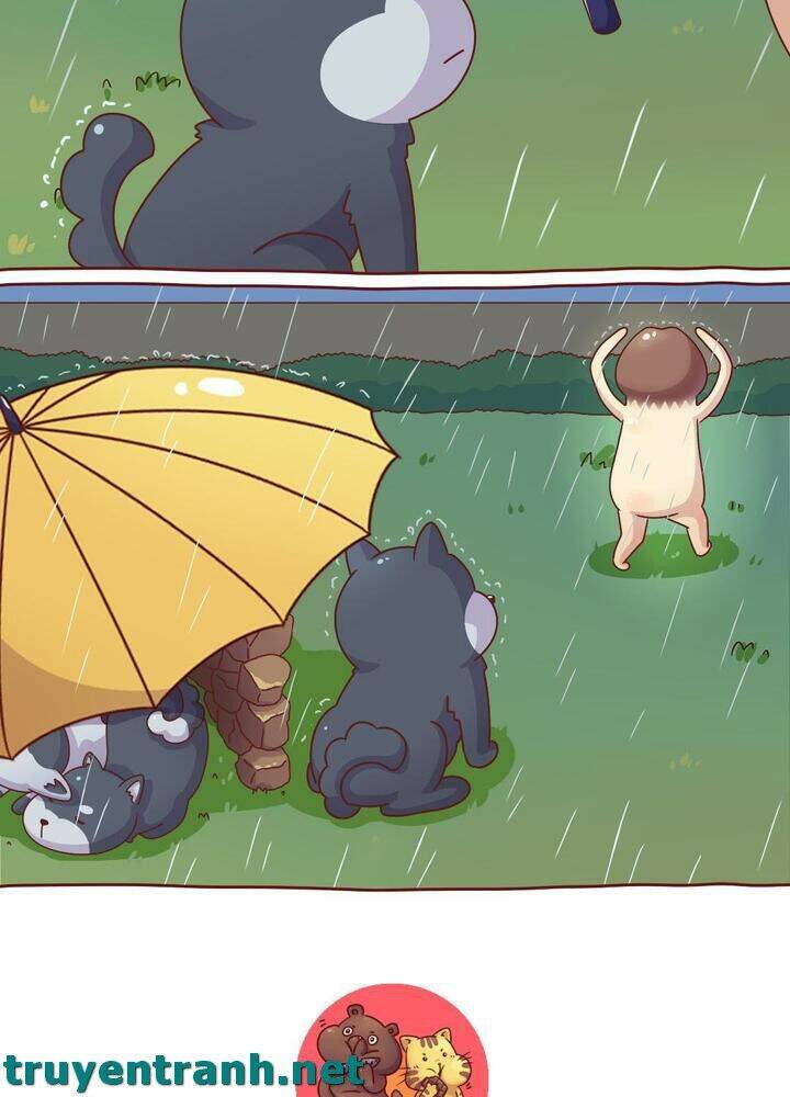 Cây Nấm Kì Khả Chapter 10 - Trang 2