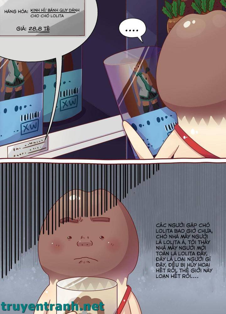 Cây Nấm Kì Khả Chapter 4 - Trang 2