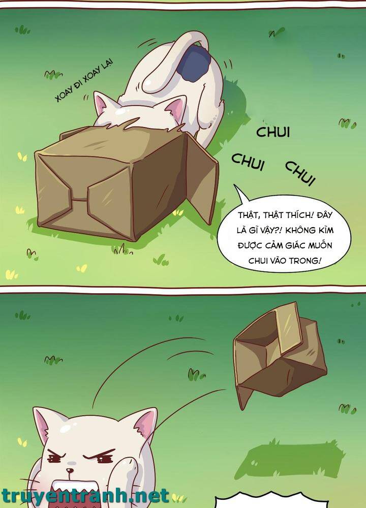 Cây Nấm Kì Khả Chapter 7 - Trang 2