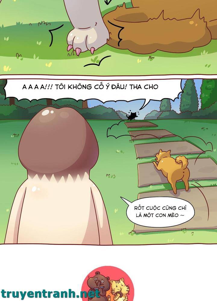 Cây Nấm Kì Khả Chapter 7 - Trang 2