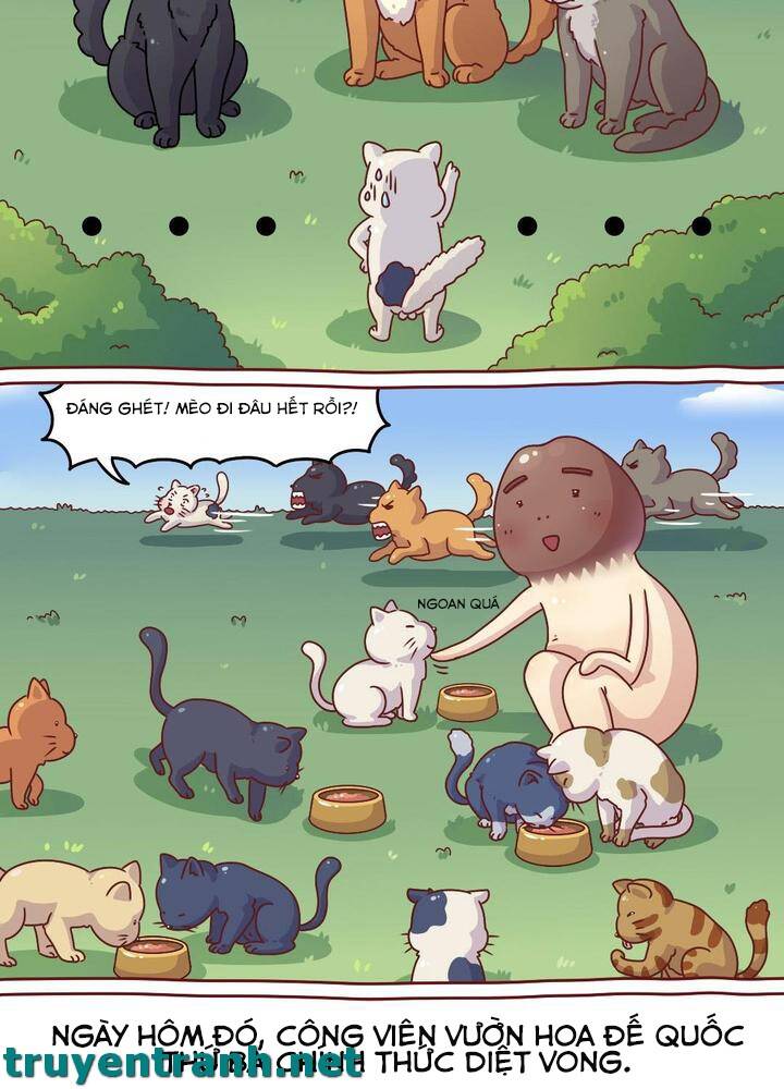 Cây Nấm Kì Khả Chapter 8 - Trang 2