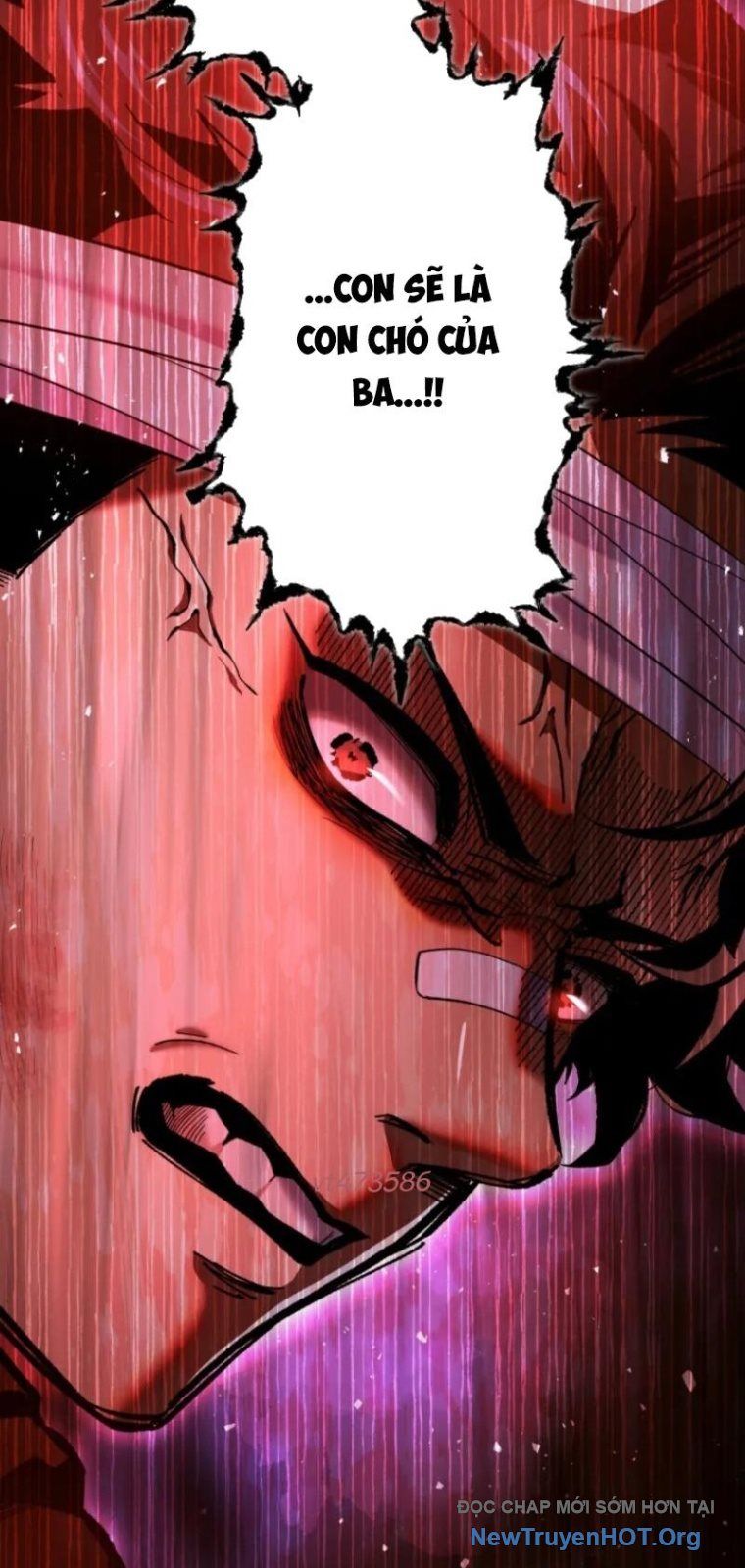 Ceberus Chapter 13 - Trang 2