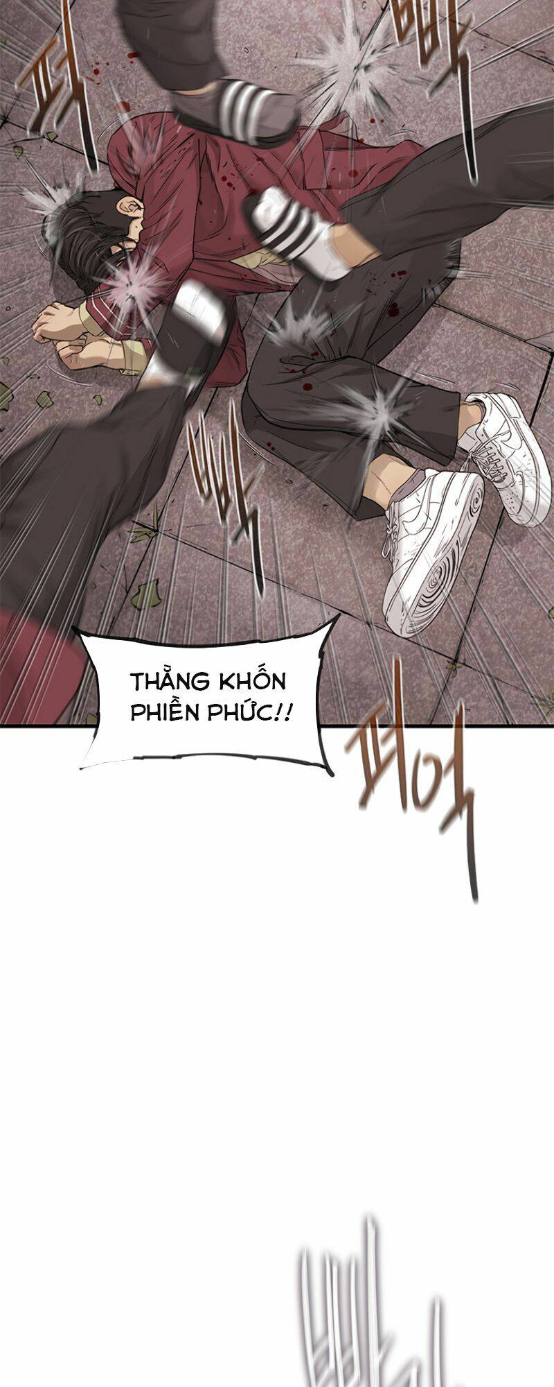 Cell Chapter 5 - Trang 2