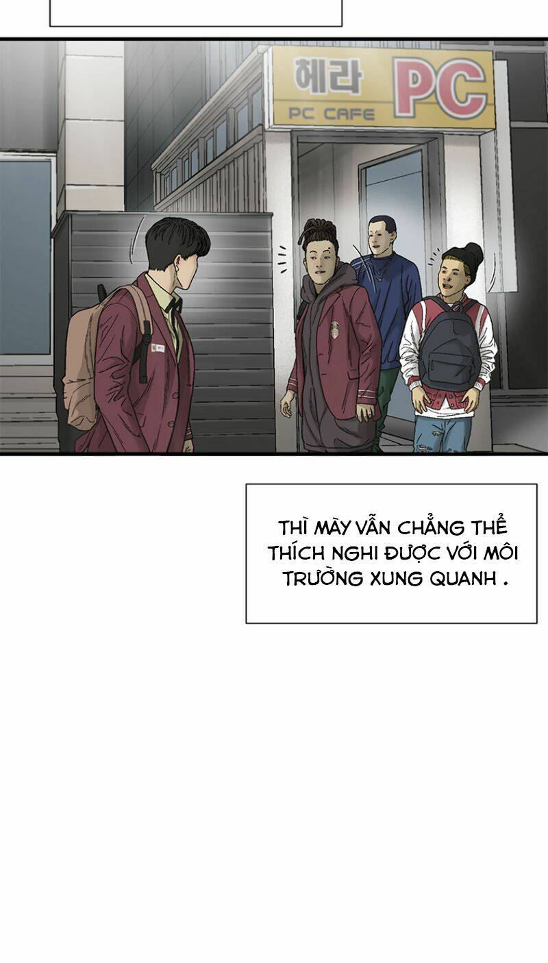 Cell Chapter 8 - Trang 2