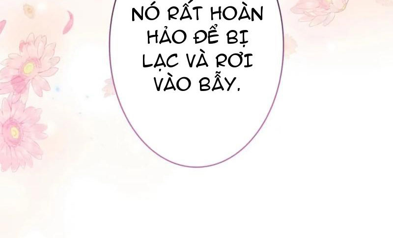 Cha Ơi Con Sẽ Không Làm Gì Đâu Chapter 3 - Trang 2