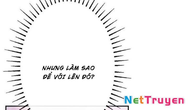 Cha Ơi Con Sẽ Không Làm Gì Đâu Chapter 4 - Trang 2
