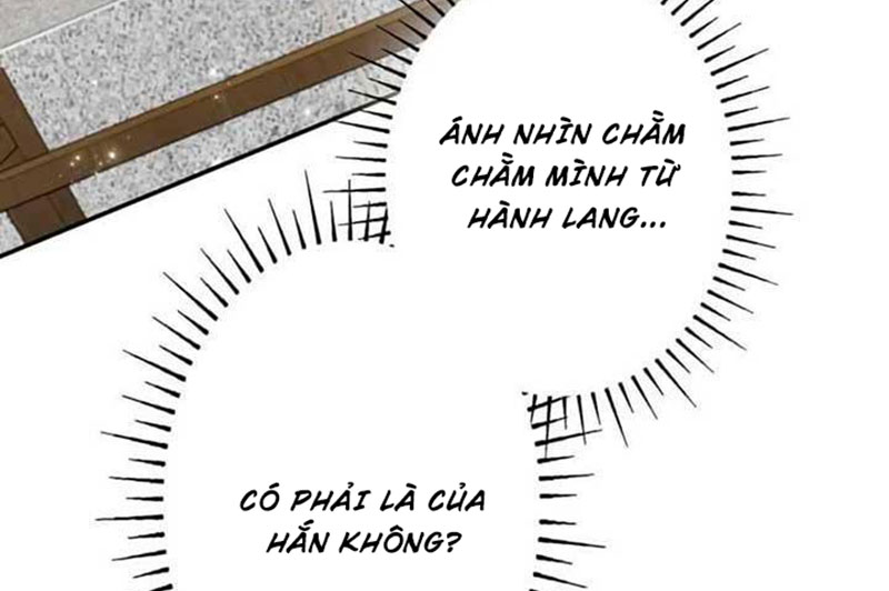 Cha Ơi Con Sẽ Không Làm Gì Đâu Chapter 4 - Trang 2