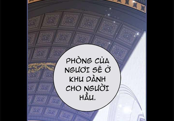 Cha Ơi Con Sẽ Không Làm Gì Đâu Chapter 5 - Trang 2