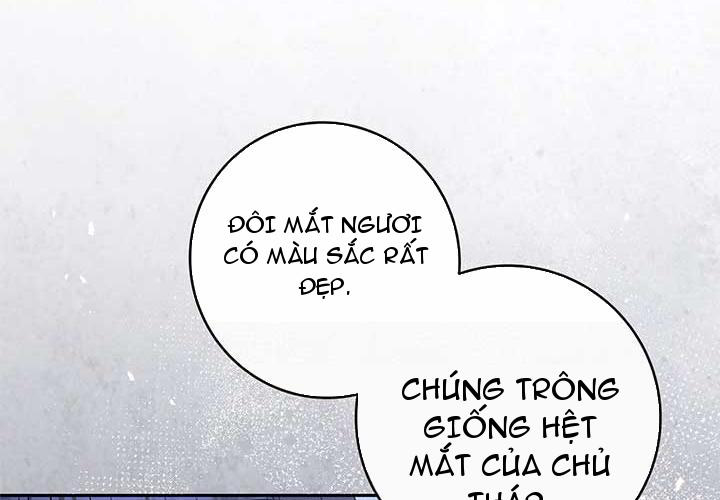 Cha Ơi Con Sẽ Không Làm Gì Đâu Chapter 6 - Trang 2